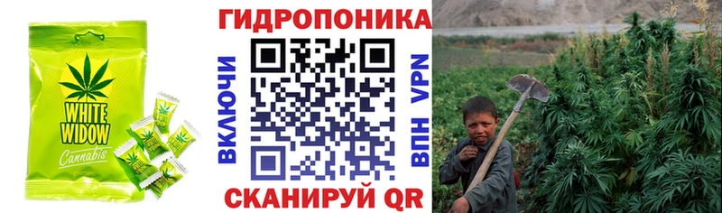 Купить где  Сорочинск  Canna-Cookies конопля 