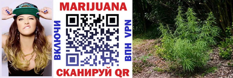 Каннабис Bruce Banner  Купить  Сорочинск 